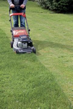 Service entretien jardin