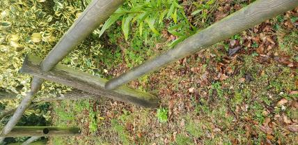 Location tariere