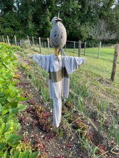 Location jardin potager