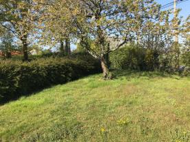 Location minipelle
