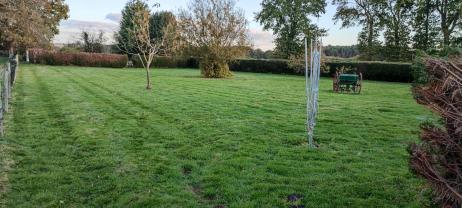 Service entretien espace vert
