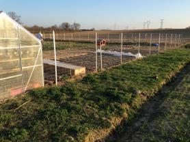 Location jardin potager