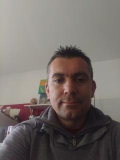 Service chien