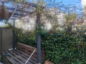 Location taille haie