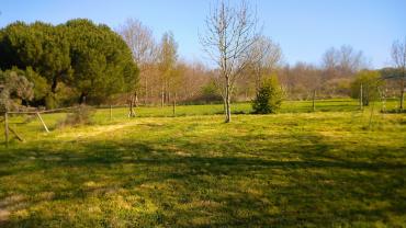 Service entretien jardin