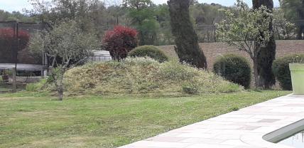 Location minipelle