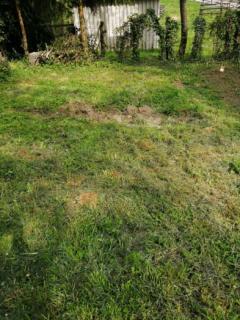 Service entretien jardin