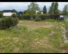 Service entretien jardin