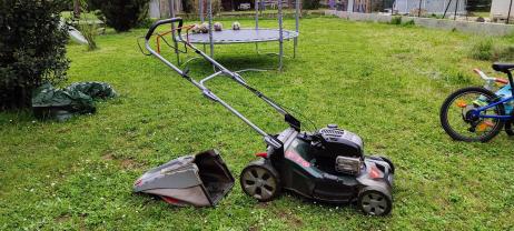 Service tonte de pelouse