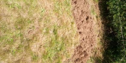 Service amenagement jardin