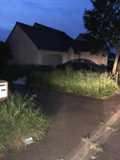 Location debroussailleuse