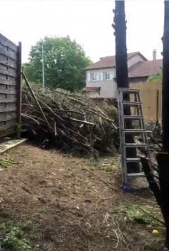 Service entretien jardin