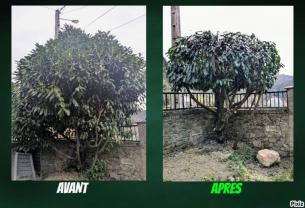 Service entretien espace vert