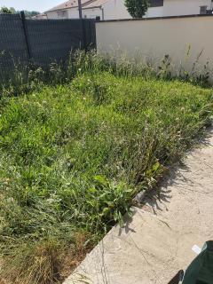 Service entretien jardin