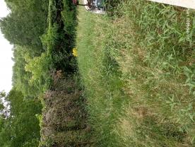 Location debroussailleuse