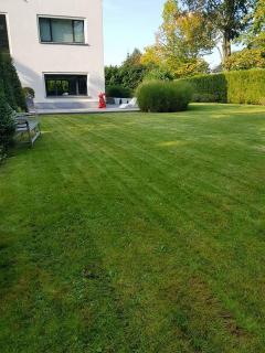 Service tonte de pelouse