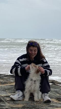 Service garde animaux