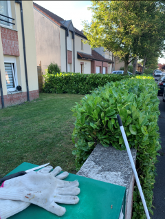 Service entretien espace vert