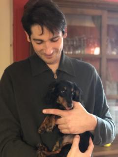 Service chien