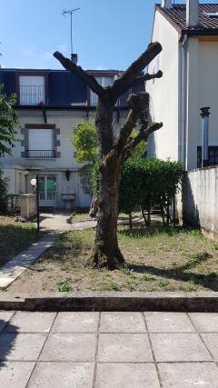 Location tronconneuse