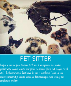 Service chien