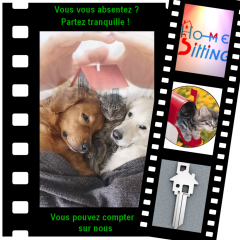 Service garde animaux