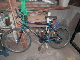 Location velos