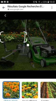 Service entretien espace vert