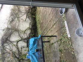 Service entretien jardin