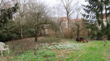 Service entretien jardin