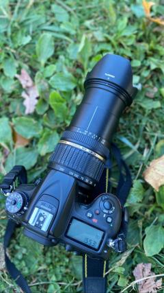 Location appareil photo numerique