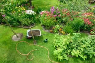 Location jardin potager