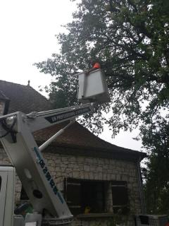 Service entretien espace vert