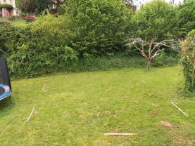 Service entretien jardin