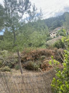 Location broyeur a vegetaux