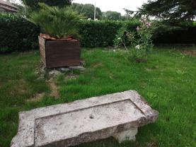 Service tonte de pelouse