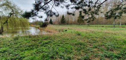 Location jardin