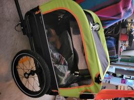 Location cage transport animaux