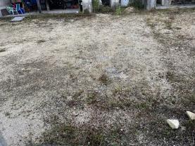 Location minipelle