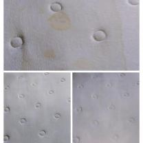 Location shampouineuse