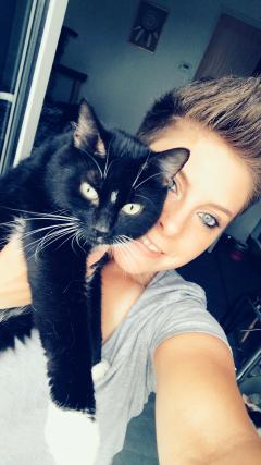 Service garde animaux