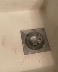 Service plomberie