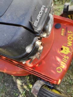 Service reparation tondeuse