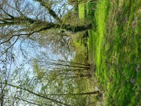 Location jardin potager