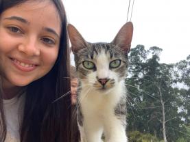 Service garde animaux