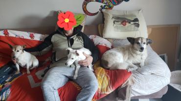 Service chien
