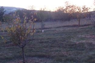 Location jardin potager