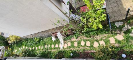 Service entretien espace vert