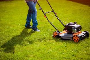 Service entretien espace vert
