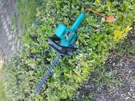 Location taille haie